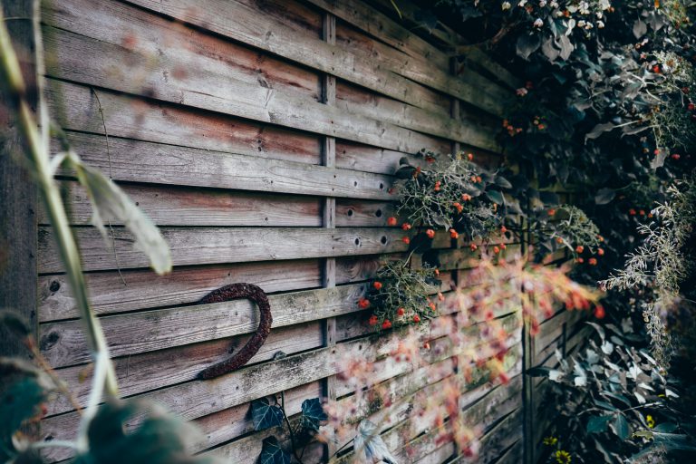 Creatief je tuin inrichten: pergola & glazen schuifdeur